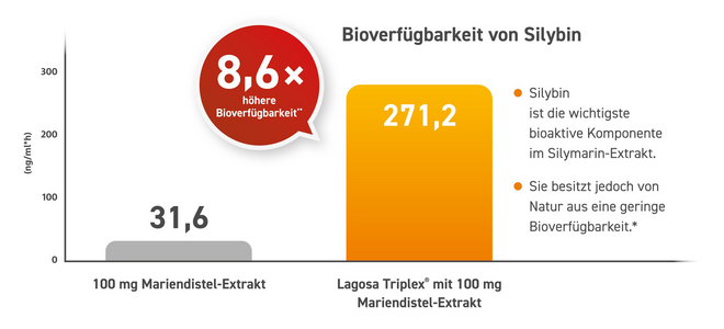 Lagosa-Grafik-BV-Studie.png